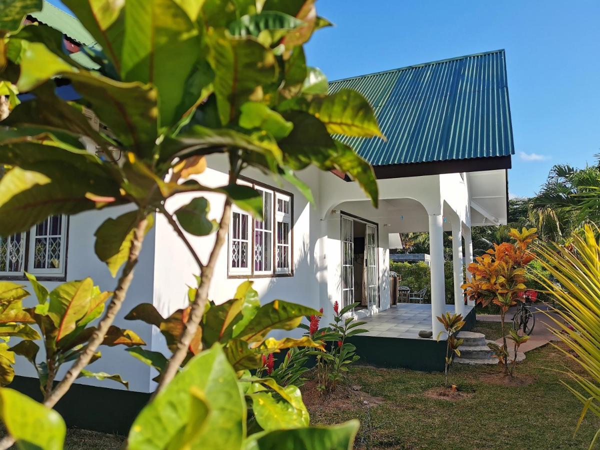 Chez Marva Grande Villa Coco 3 A 12 Personnes Диг Екстериор снимка